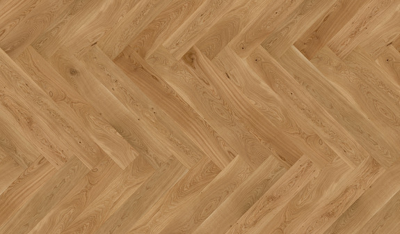 Chêne Juist Chêne Juist