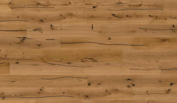 Chêne Matera Chêne Matera