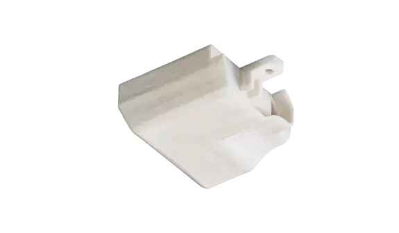 Arce blanco Arce blanco