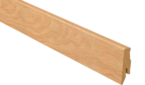 Buche farbig Buche farbig