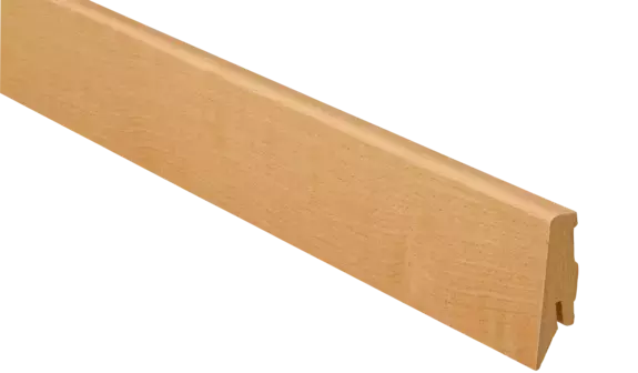 Buche farbig Buche farbig