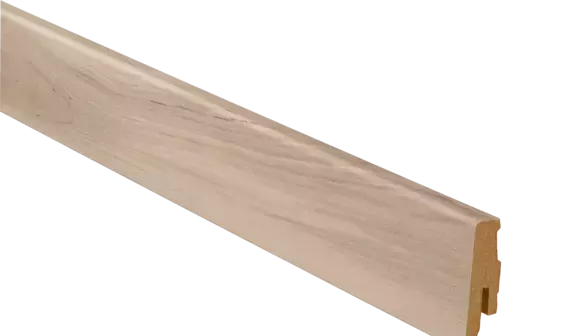 Eibe farbig Eibe farbig